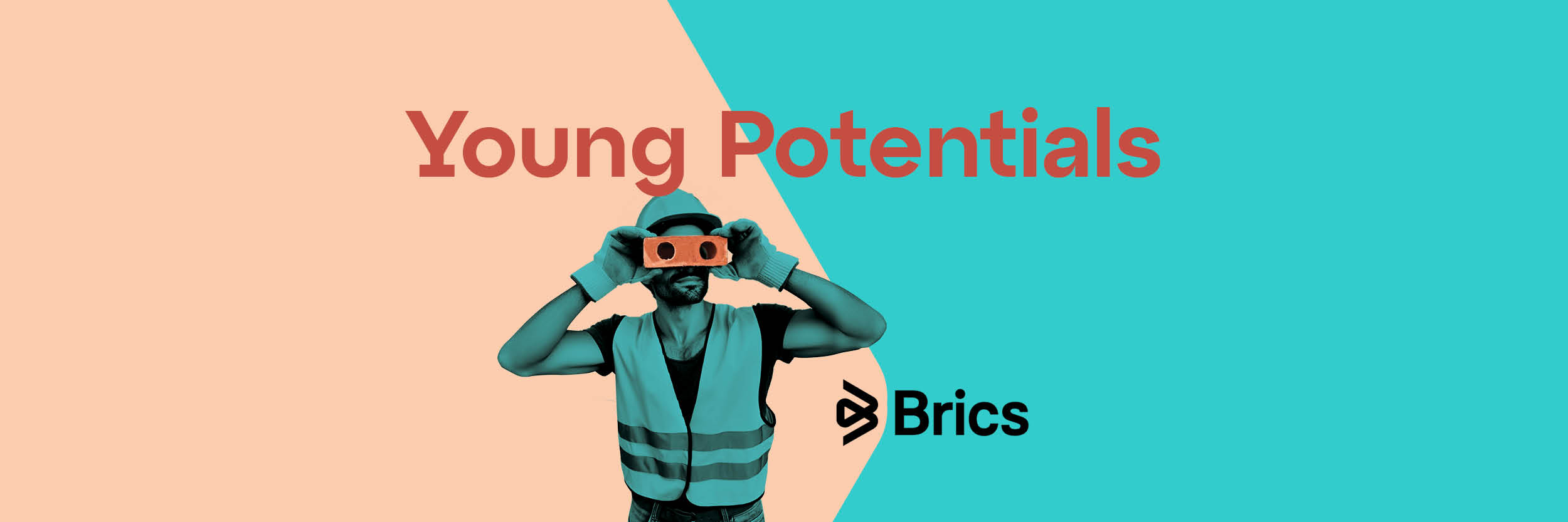 BRICS Young Potentials