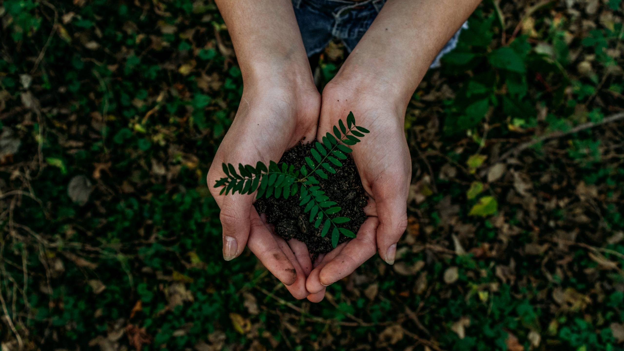 Stem op Nele Van Damme (Upgrade Estate) als Sustainability Professional