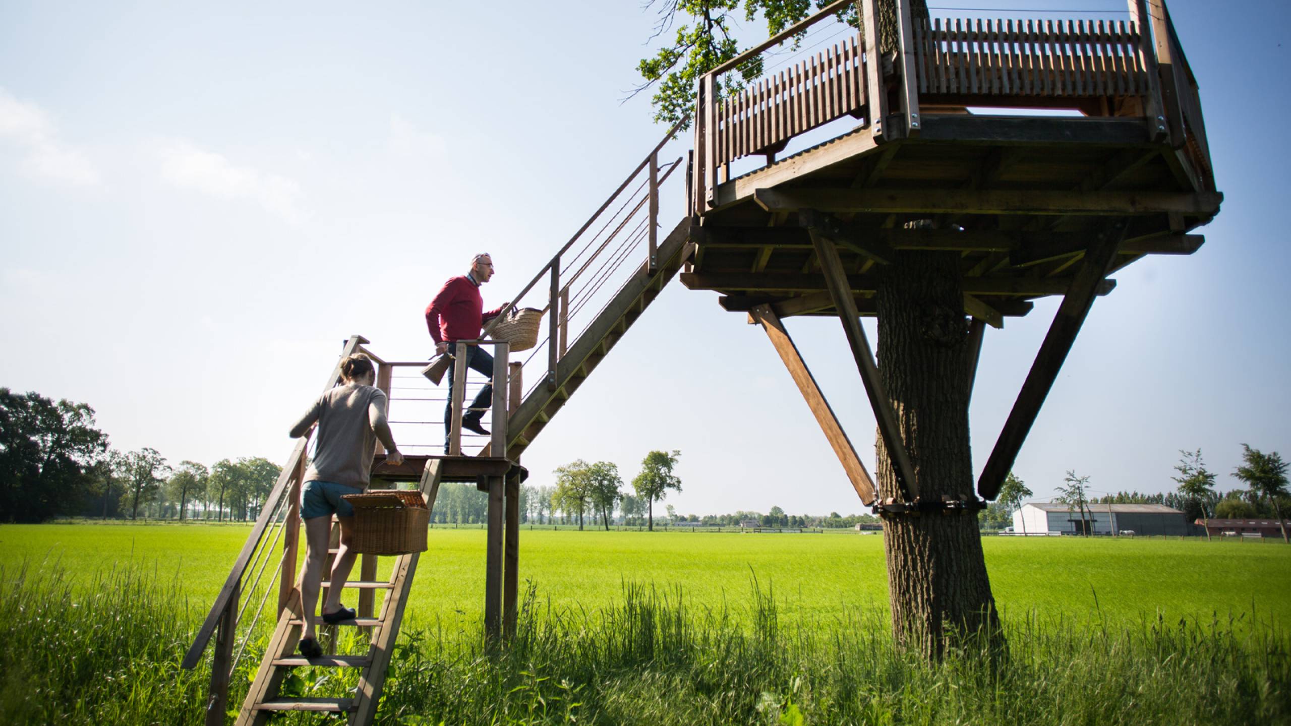 Iedereen de boom in met HogerHuis